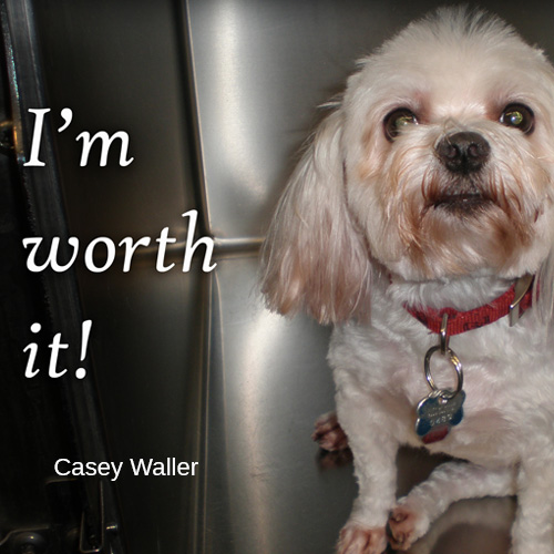 Pet groomer Galax, Grayson, Carroll, Virginia